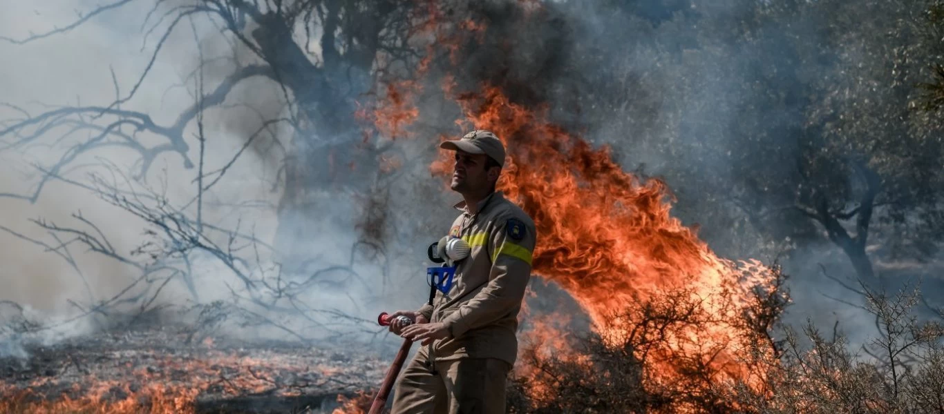 Φωτιά στα Βίλια: Ανεξέλεγκτο το πύρινο μέτωπο - Εκκενώνονται προληπτικά οικισμοί